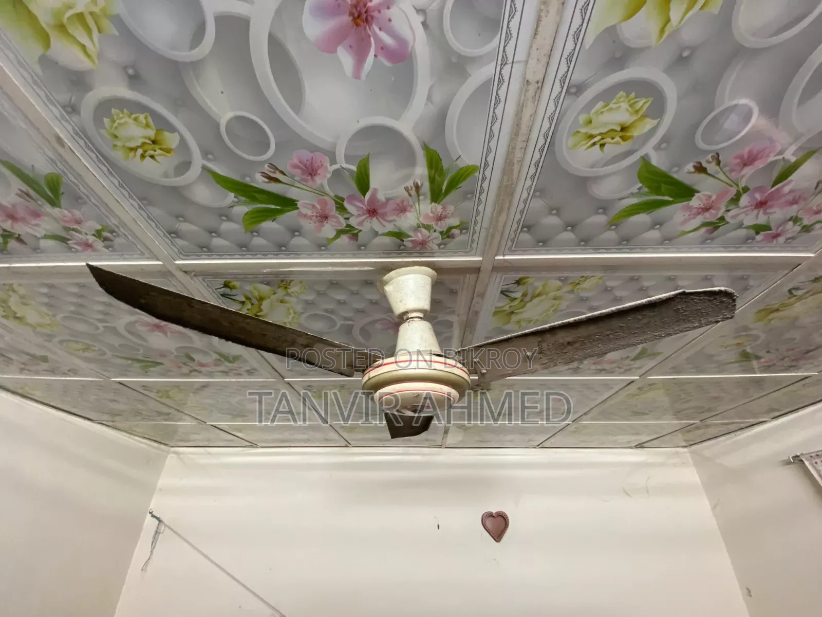 Siling Fan