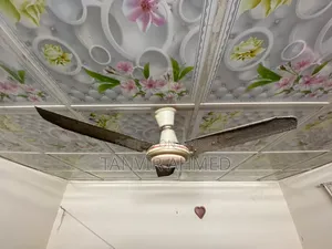 Siling Fan