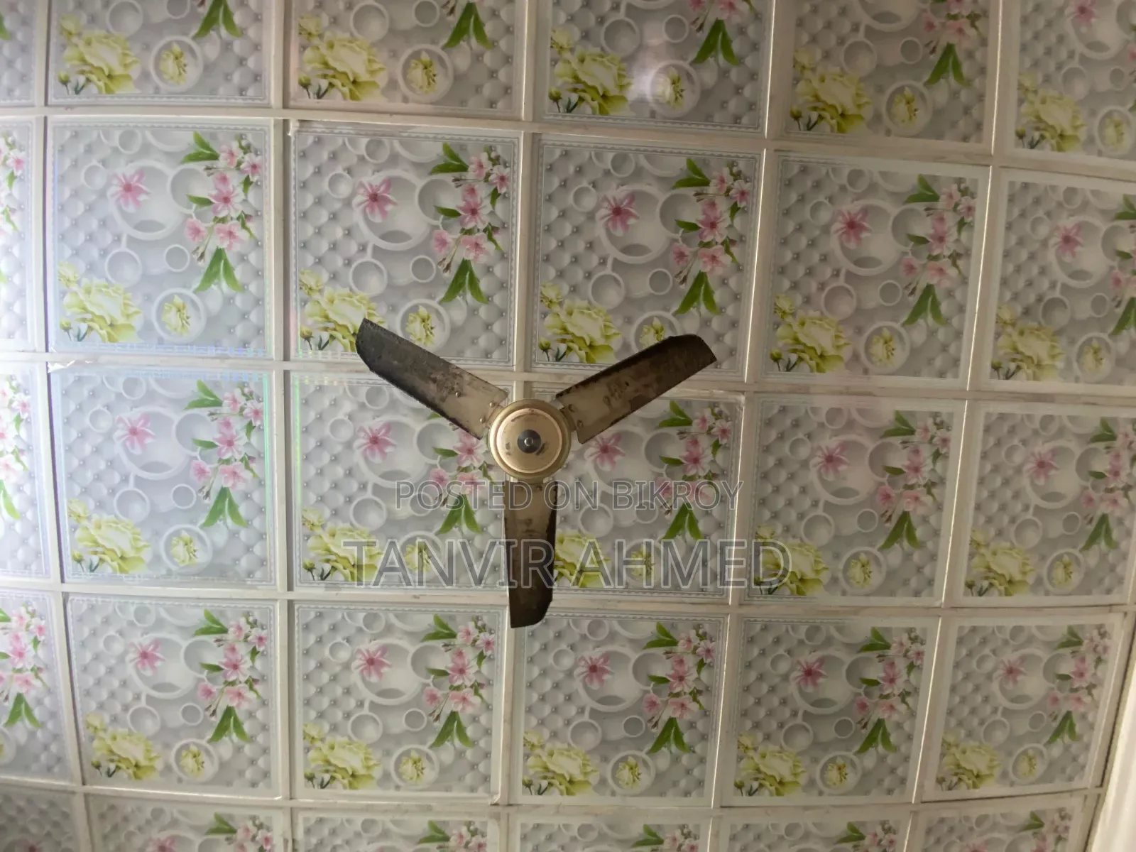 Siling Fan