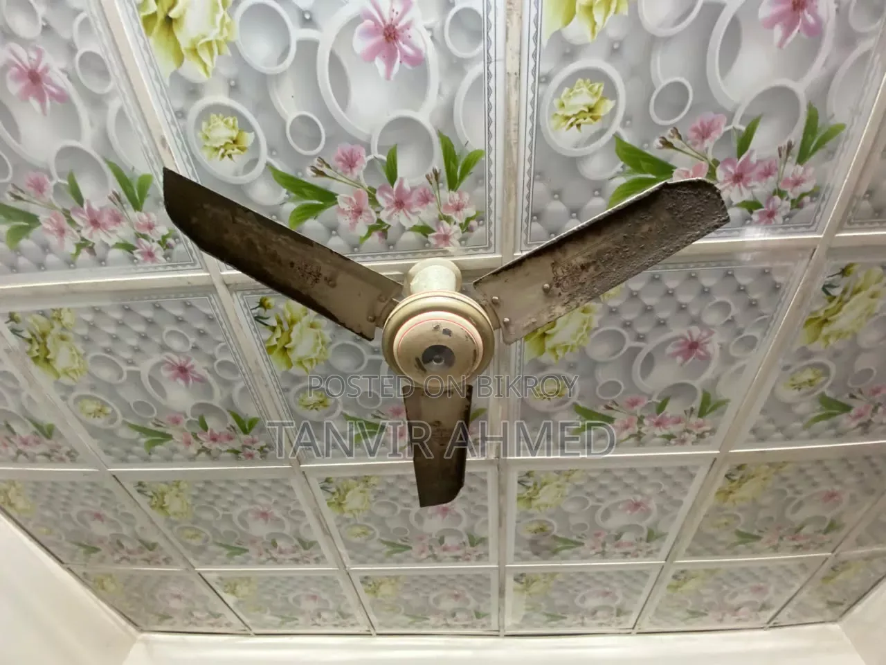 Siling Fan