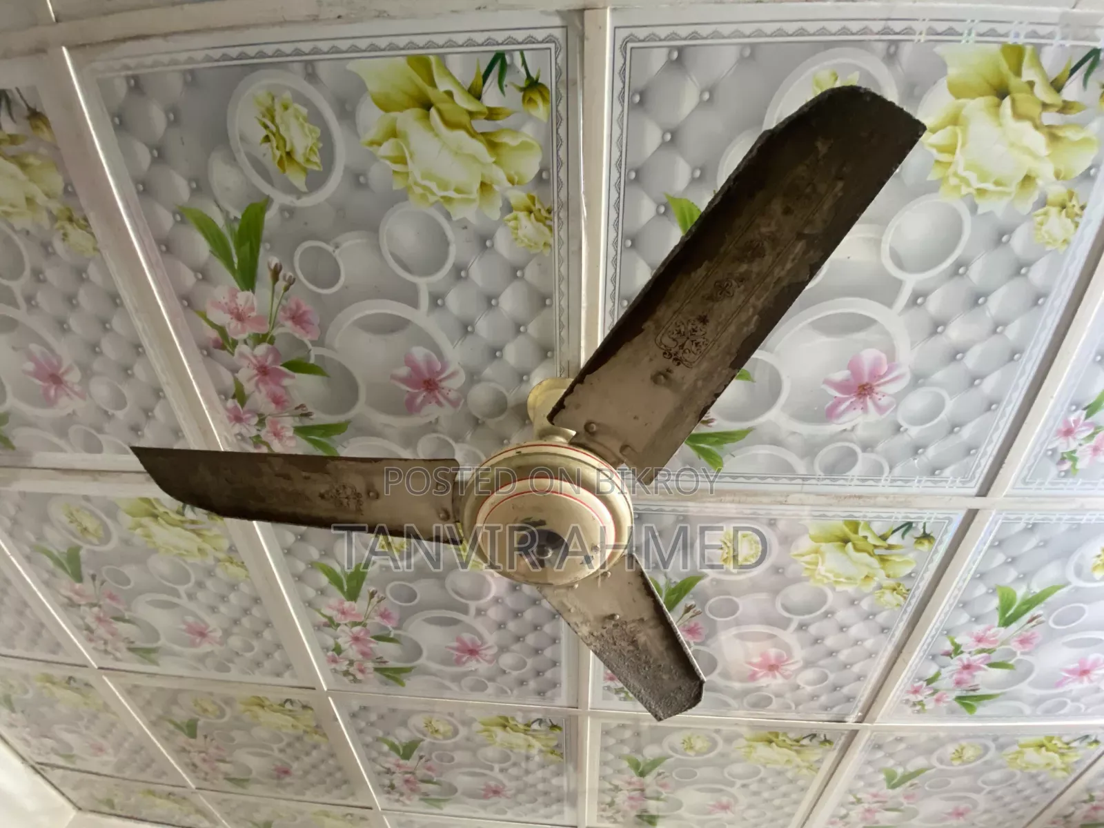 Siling Fan
