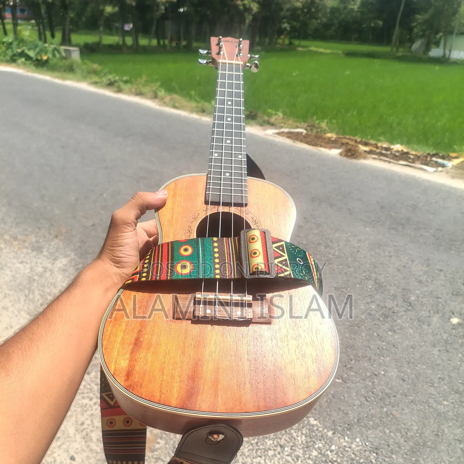 Ukulele24"