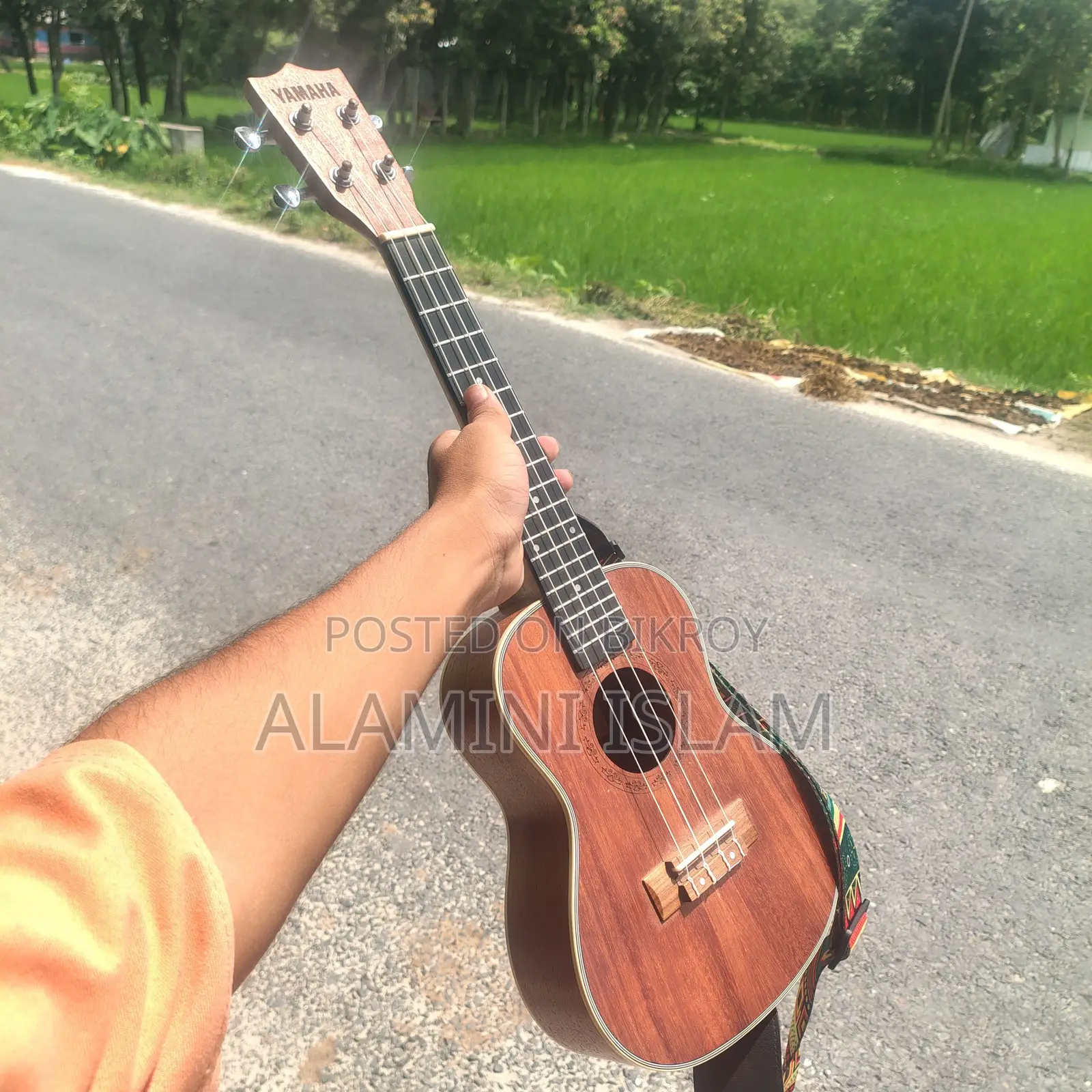 Ukulele24"