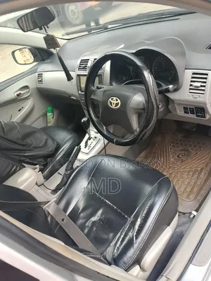 Toyota Axio 2010 Silver