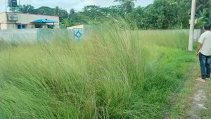 অল্প দামে জমি/প্লট বিক্রি করা হবে।নিতে চাইলে যোগাযোগ করুন।