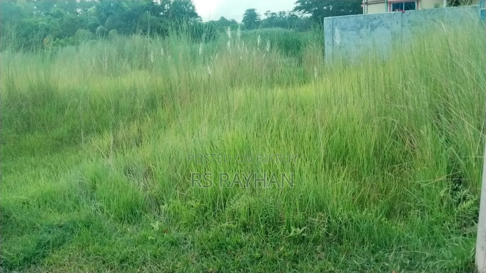অল্প দামে জমি/প্লট বিক্রি করা হবে।নিতে চাইলে যোগাযোগ করুন।