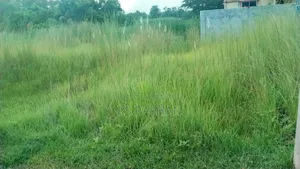 অল্প দামে জমি/প্লট বিক্রি করা হবে।নিতে চাইলে যোগাযোগ করুন।