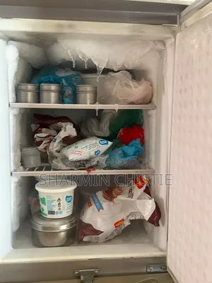 Walton Refrigerator for Sell (Used)