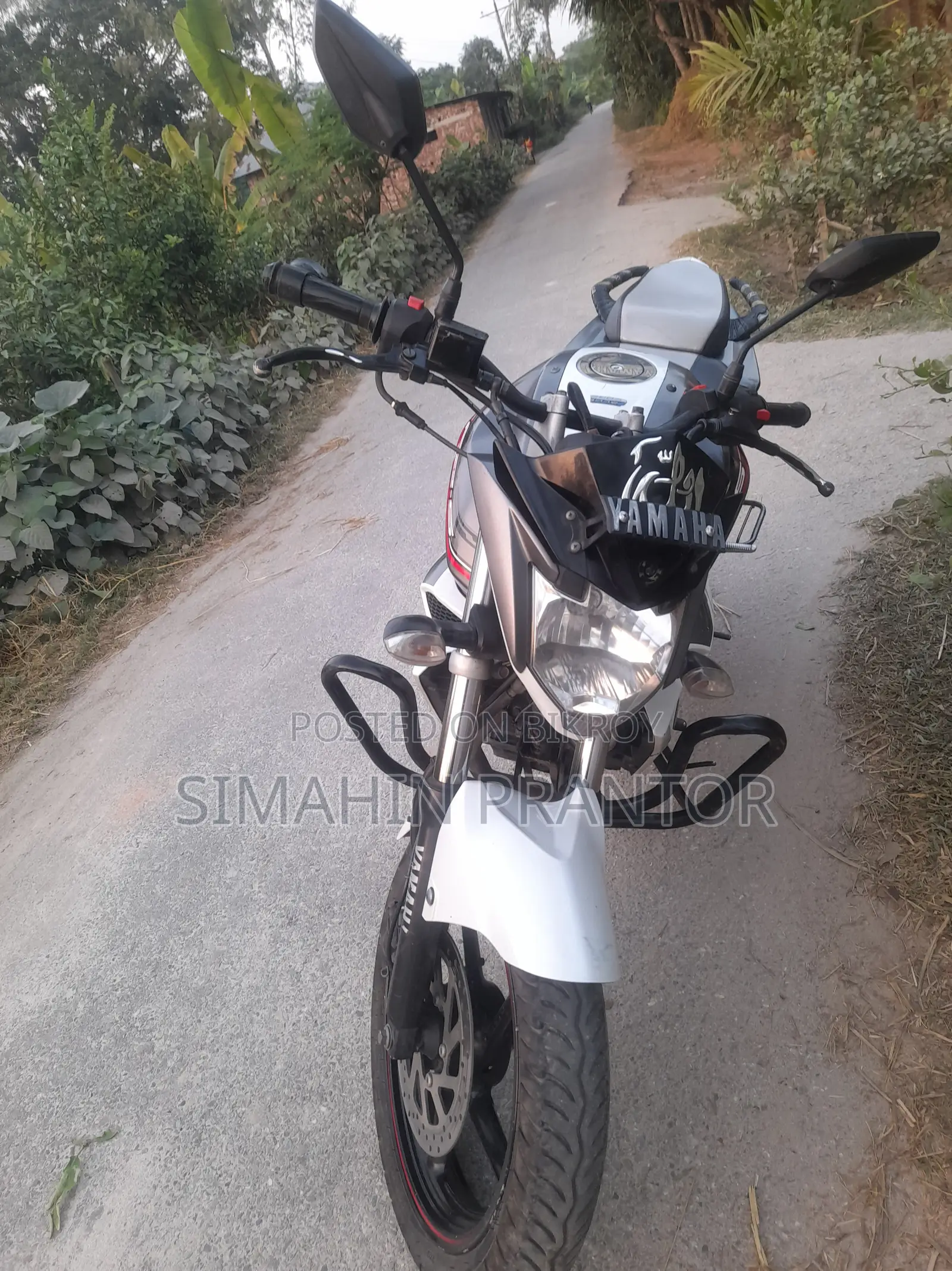 Yamaha FZS V2 2017 White