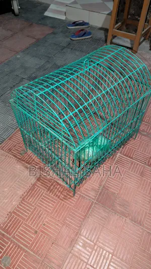 চায়না পাখির খাঁচা বিক্রি করা হবে।।