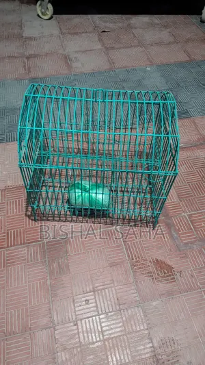 চায়না পাখির খাঁচা বিক্রি করা হবে।।