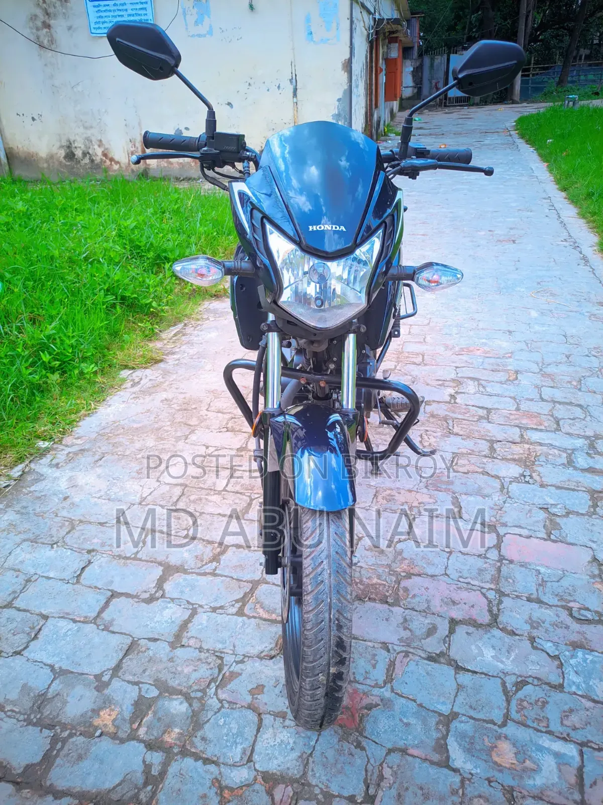 New Honda Livo 2026 Pink