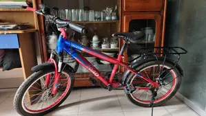 Used Bicycle