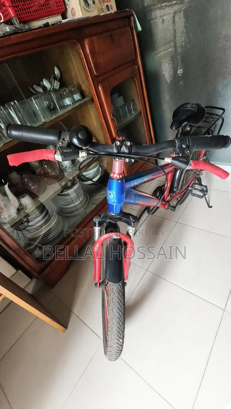 Used Bicycle