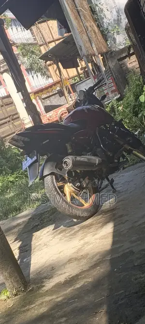 Bajaj Pulsar 150 2009 Red