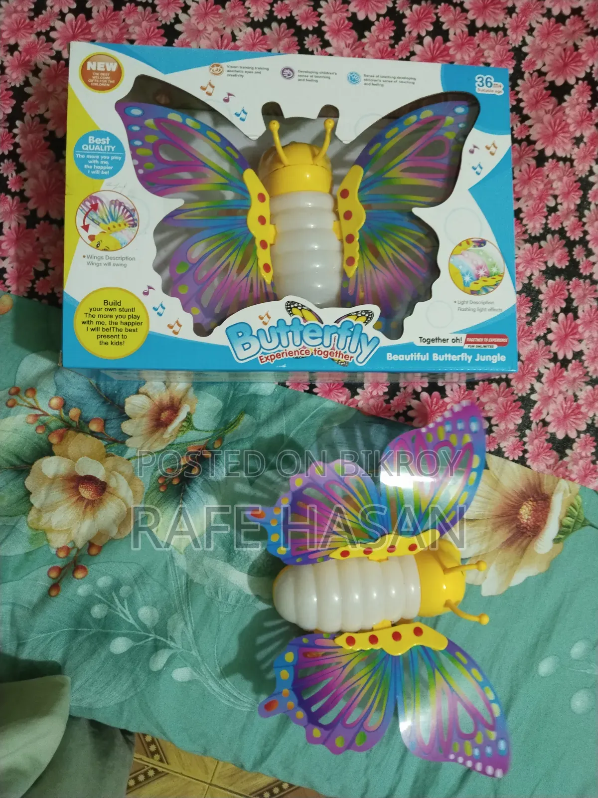 Butterfly Jungle