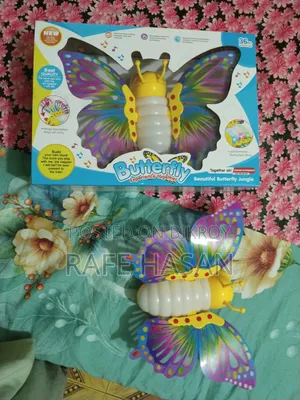 Butterfly Jungle