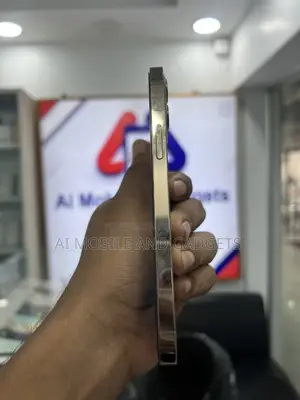 Apple iPhone 12 Pro 256 GB Gold