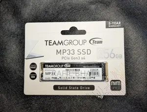 TEAMGROUP MP33 256GB NVMe SSD — Brand New