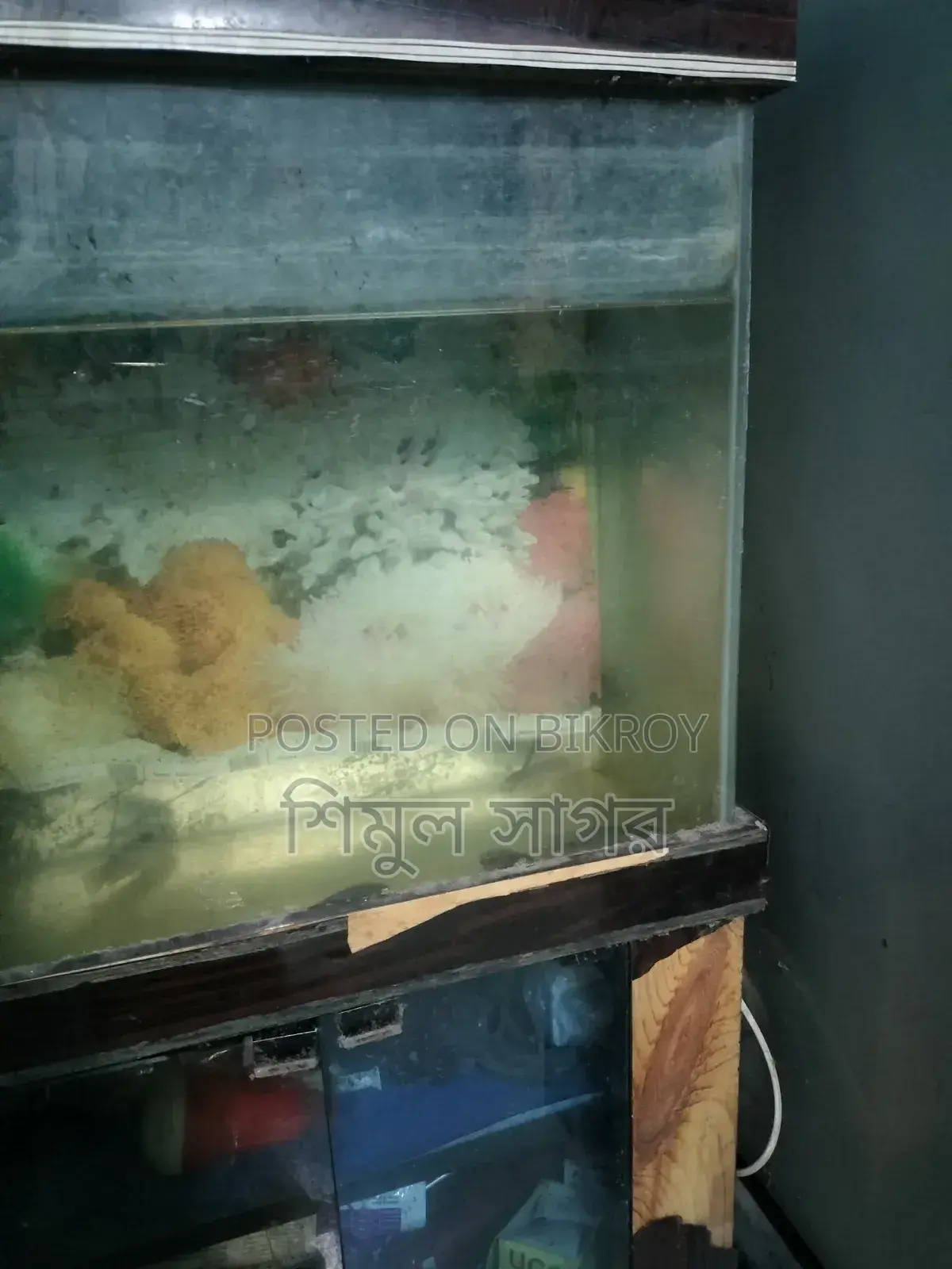 শুধু বক্স আর একুরিয়াম