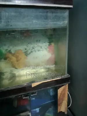 শুধু বক্স আর একুরিয়াম