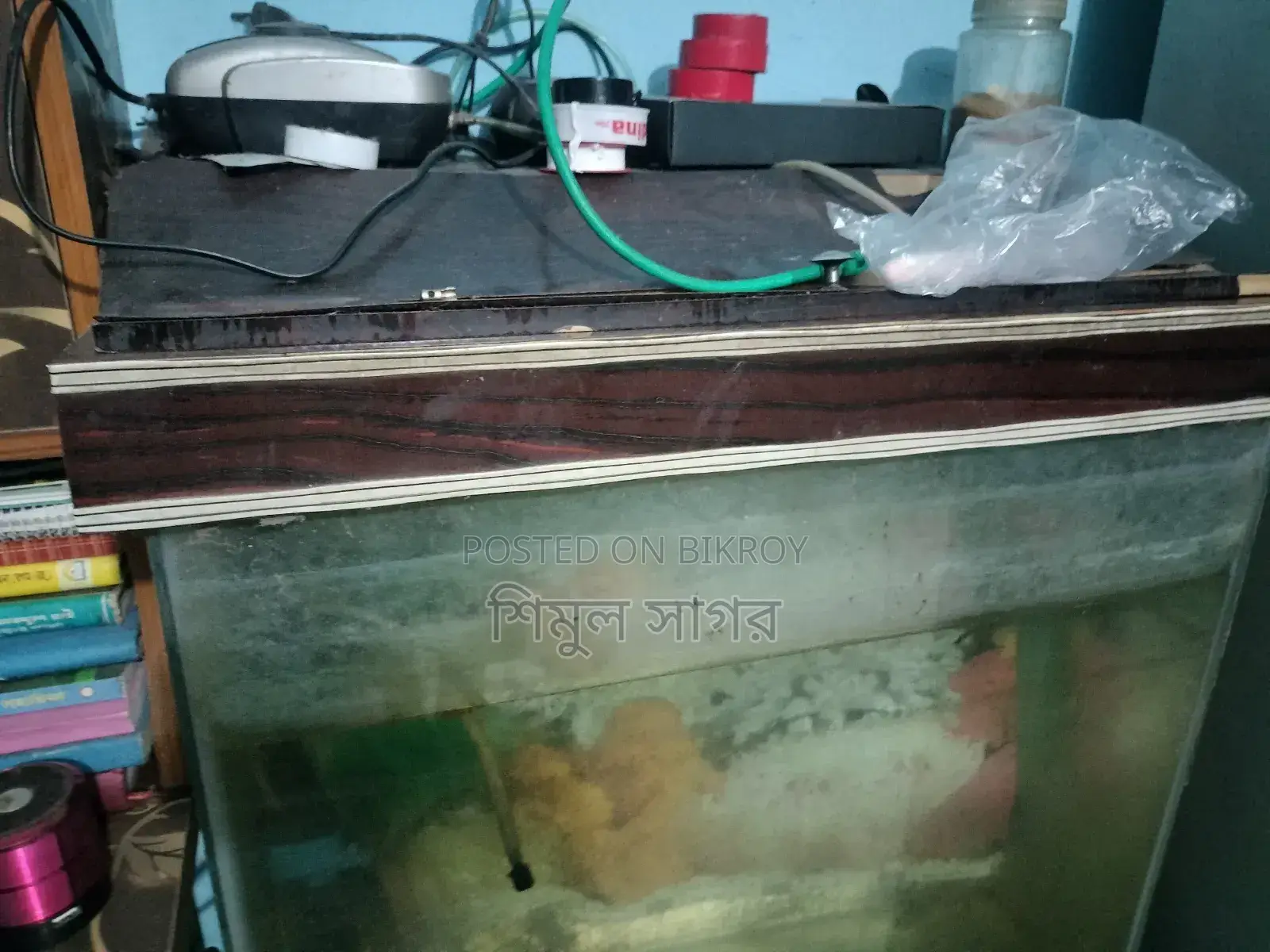 শুধু বক্স আর একুরিয়াম
