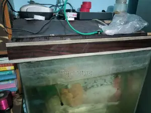 শুধু বক্স আর একুরিয়াম