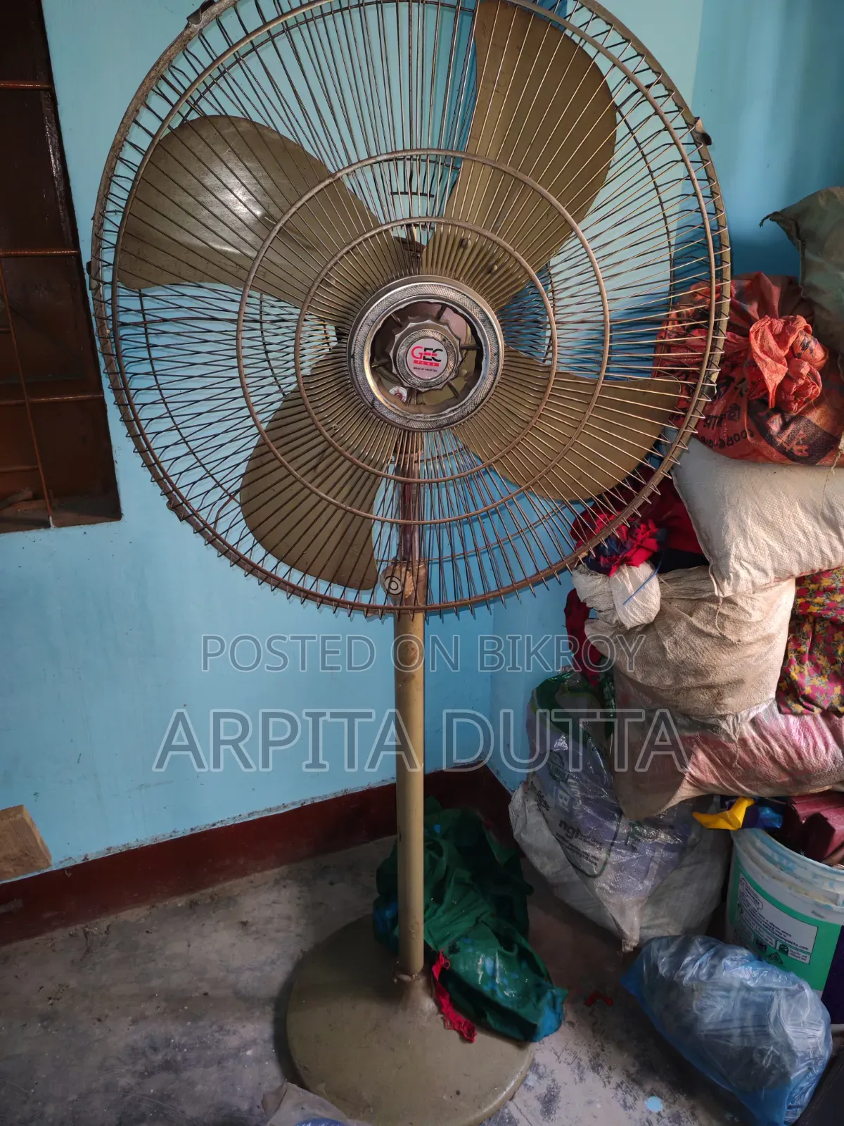 Pakistani Fan