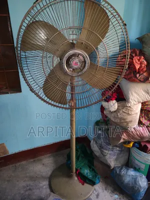 Pakistani Fan
