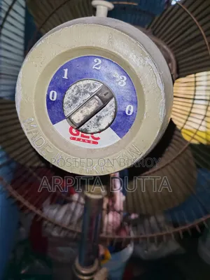 Pakistani Fan