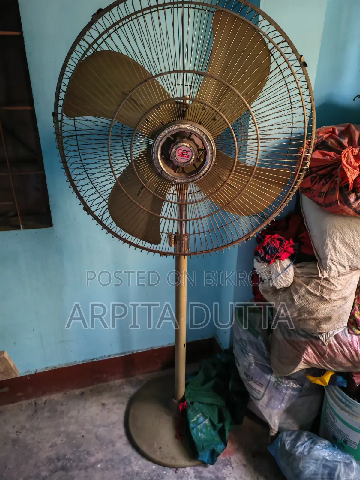 Pakistani Fan