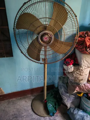 Pakistani Fan