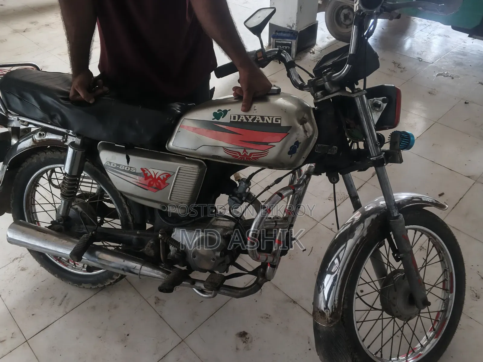 Dayang APOLLO 2018 Brown