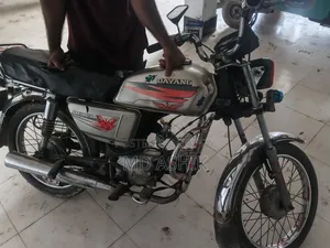 Dayang APOLLO 2018 Brown