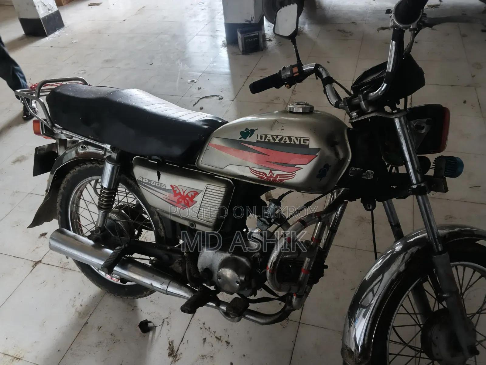 Dayang APOLLO 2018 Brown