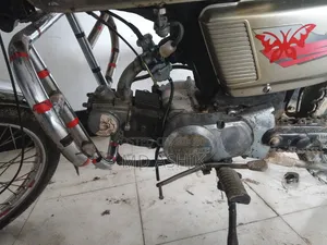 Dayang APOLLO 2018 Brown