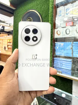 OnePlus 13R 512 GB Silver