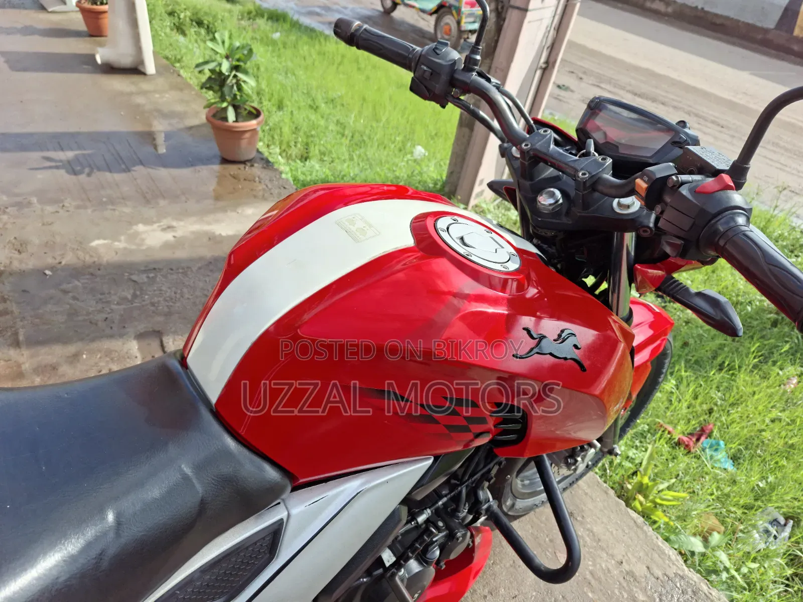 TVS Apache 160 4V 2019 Red