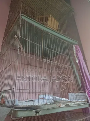 পাখির খাচা বিক্রি করা হবে