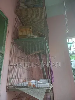 পাখির খাচা বিক্রি করা হবে