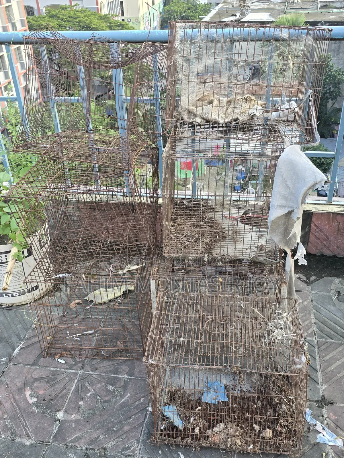 Kobutor Ar Khaccha