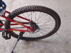 Duranta Maxus Non Gear Cycle