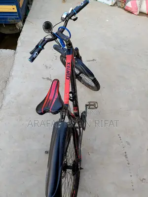 Phoenix Bicycle