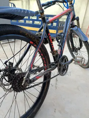 Phoenix Bicycle