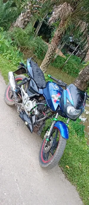 Bajaj Pulsar 150 2015 Blue