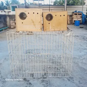 Love Birds Breeding Box 2 Pis & 18/24 Size Kobutor Er Khacha