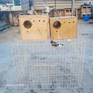 Love Birds Breeding Box 2 Pis & 18/24 Size Kobutor Er Khacha