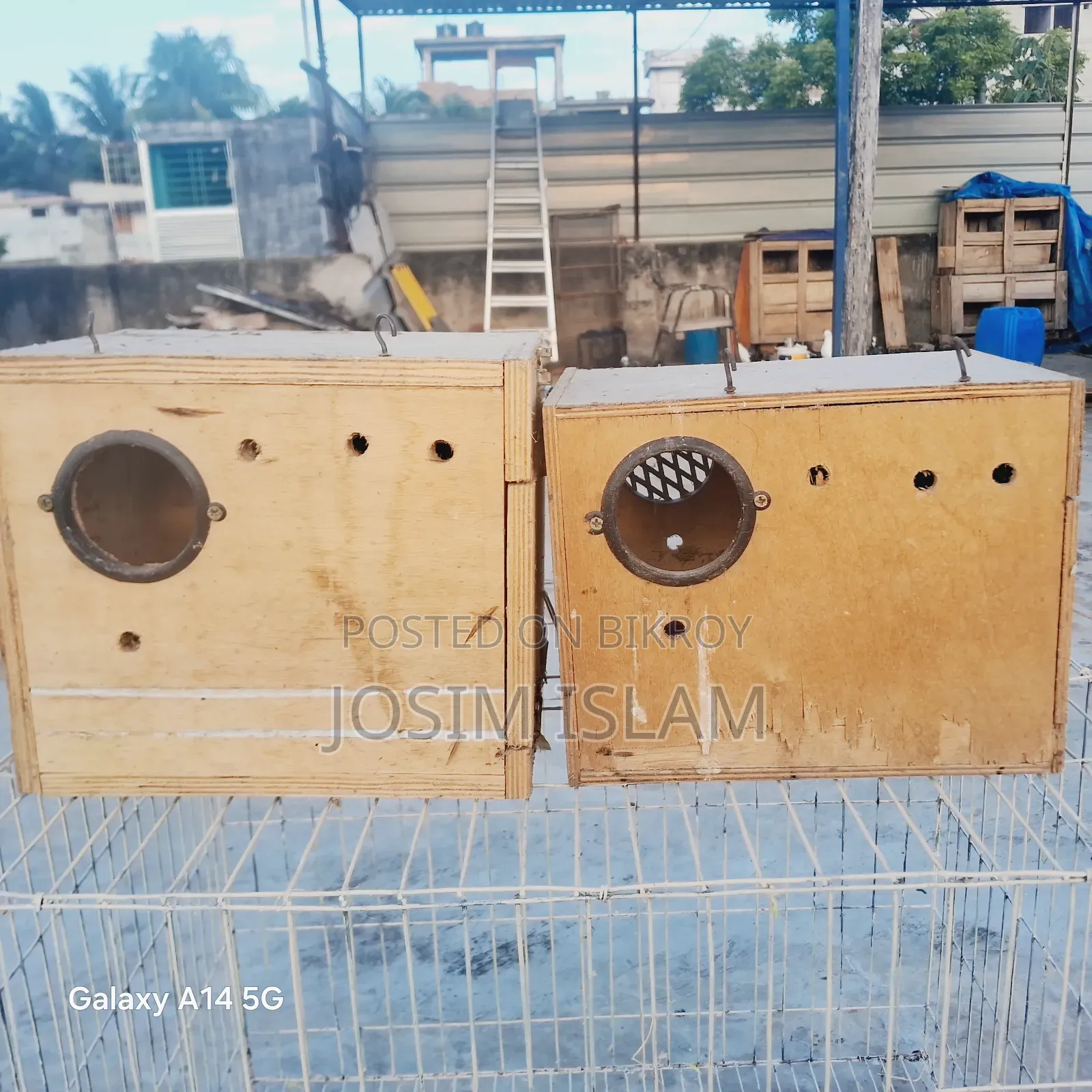 Love Birds Breeding Box 2 Pis & 18/24 Size Kobutor Er Khacha