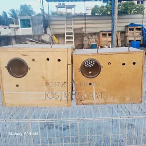 Love Birds Breeding Box 2 Pis & 18/24 Size Kobutor Er Khacha