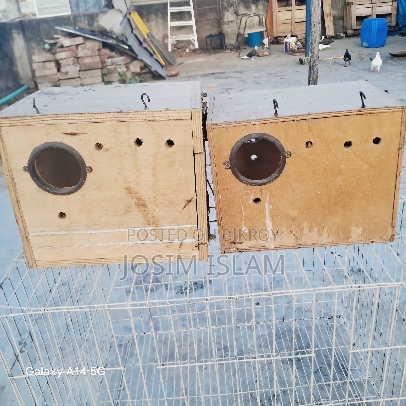 Love Birds Breeding Box 2 Pis & 18/24 Size Kobutor Er Khacha